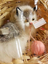 Load image into Gallery viewer, Adorable Realistic Like Grey White Kitten / Cat in Wicker Basket With Yarn Ball - Perfume Gallery
