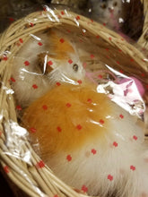 Load image into Gallery viewer, Adorable Realistic Life Like Orange Kitten Cat in Wicker Basket With Yarn Ball - Perfume Gallery